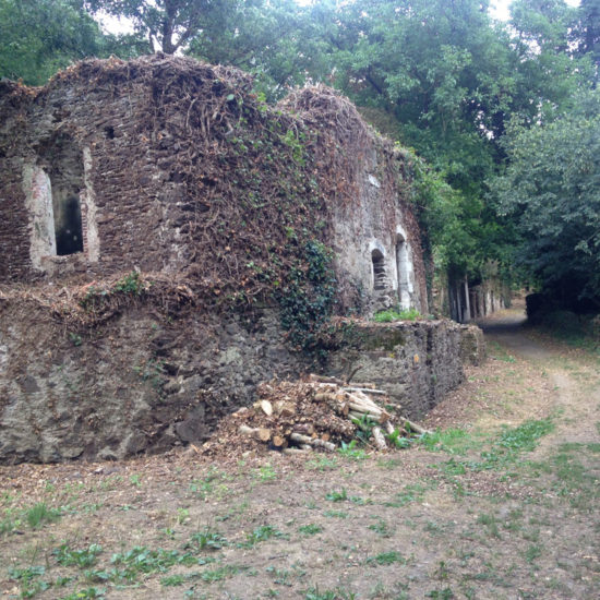Les ruines du village de Courossé, à La Baronnière