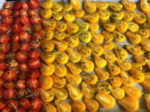 La Baronnière - Tomates séchées : serrez-les avant de les enfourner