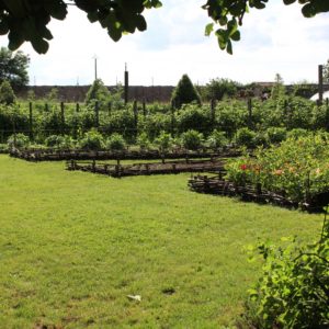 Le jardin potager de La Baronnière : découvrez les lieux remarquables et l'histoire du château de La Baronnière.