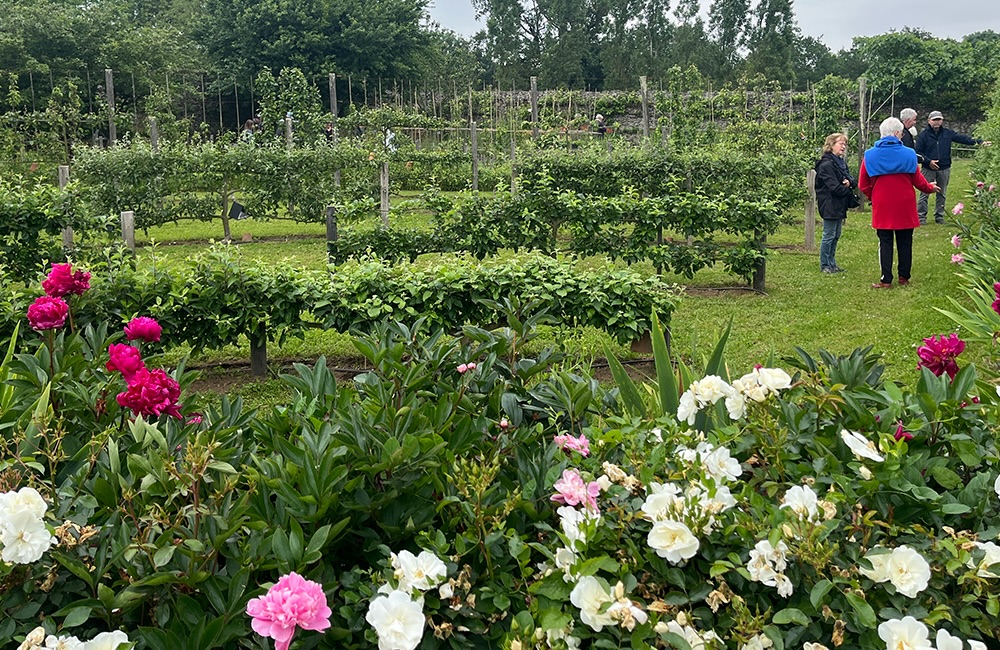 Les Rendez-vous aux jardins au château de La Baronnière